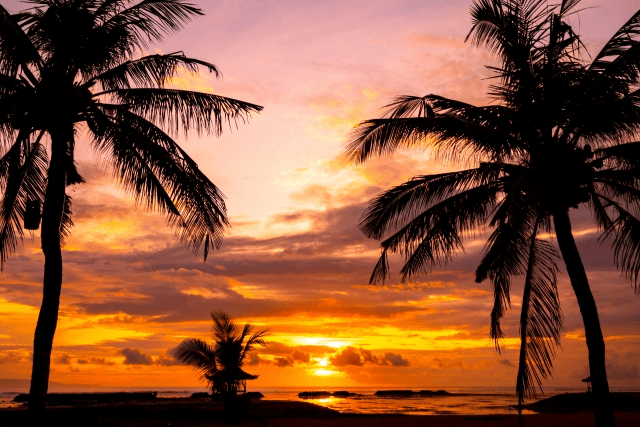 世界のお正月クイズ　面白い