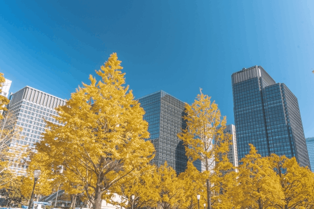 お散歩界隈　楽しみ方