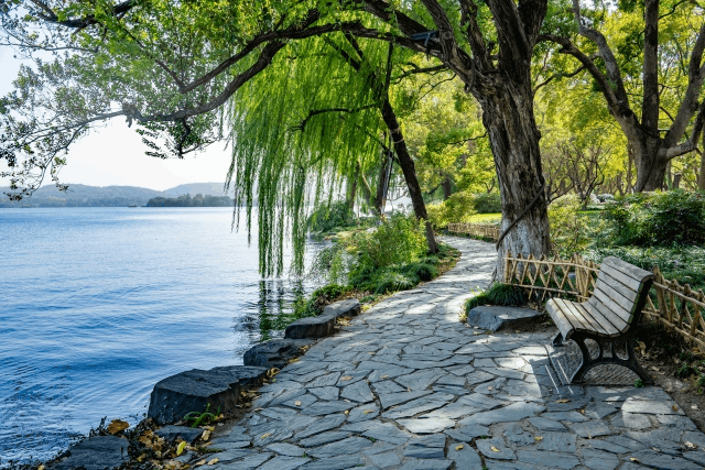 お散歩界隈　楽しみ方