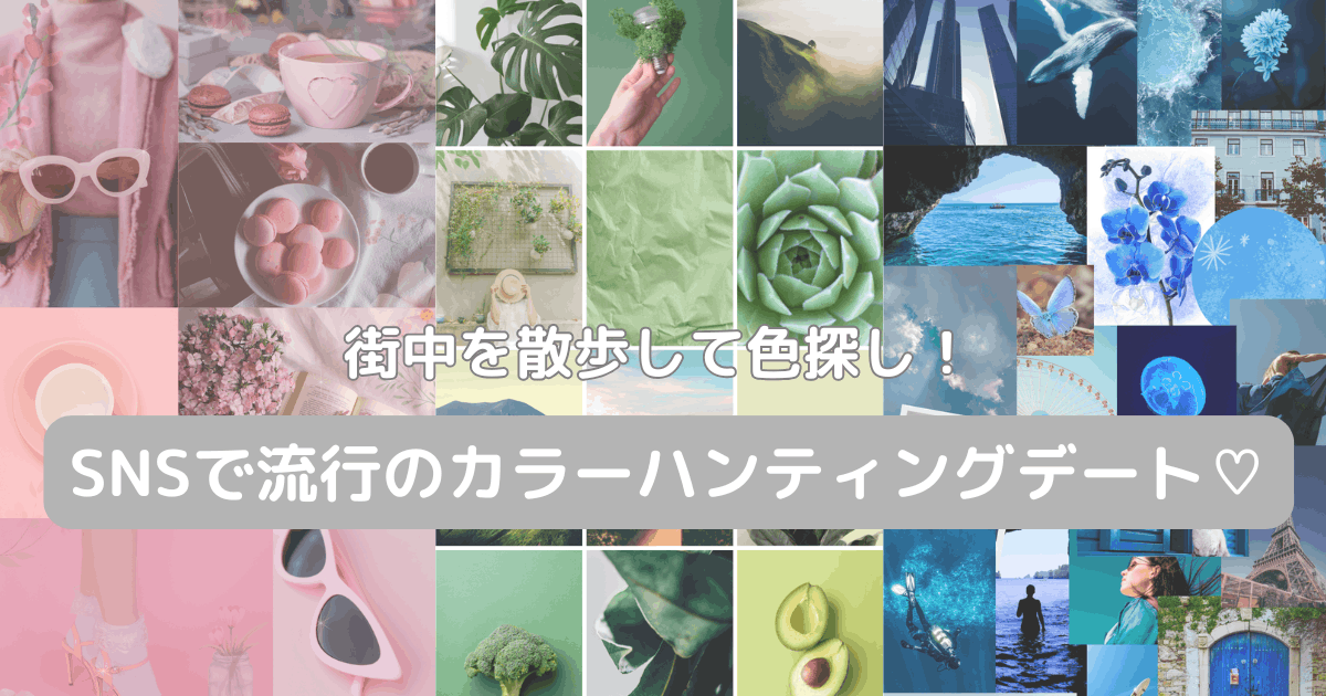 カラーハンティング　楽しみ方　デート